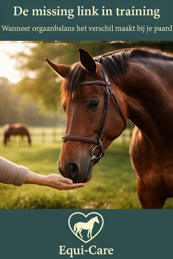 De missing link in training