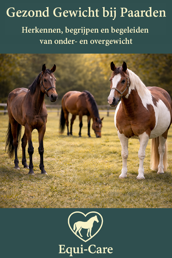 Gezond Gewicht bij Paarden