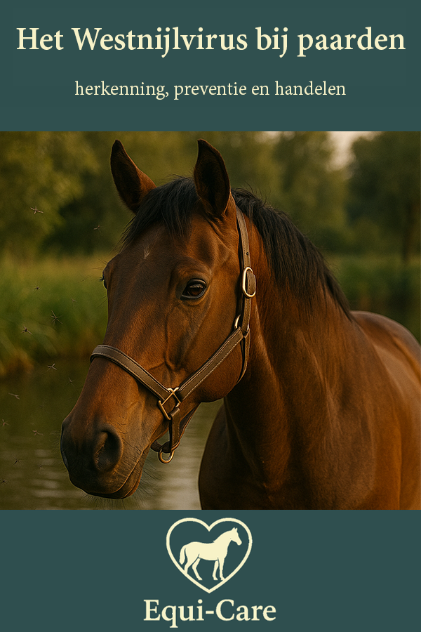 Westnijlvirus bij Paarden