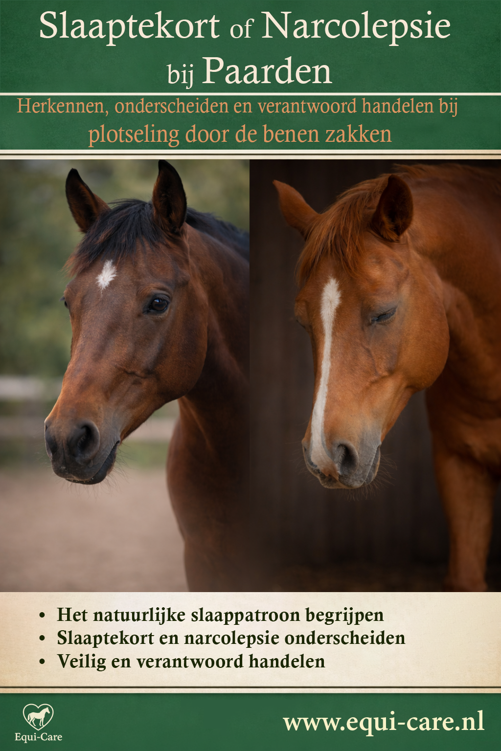 Slaaptekort of Narcolepsie