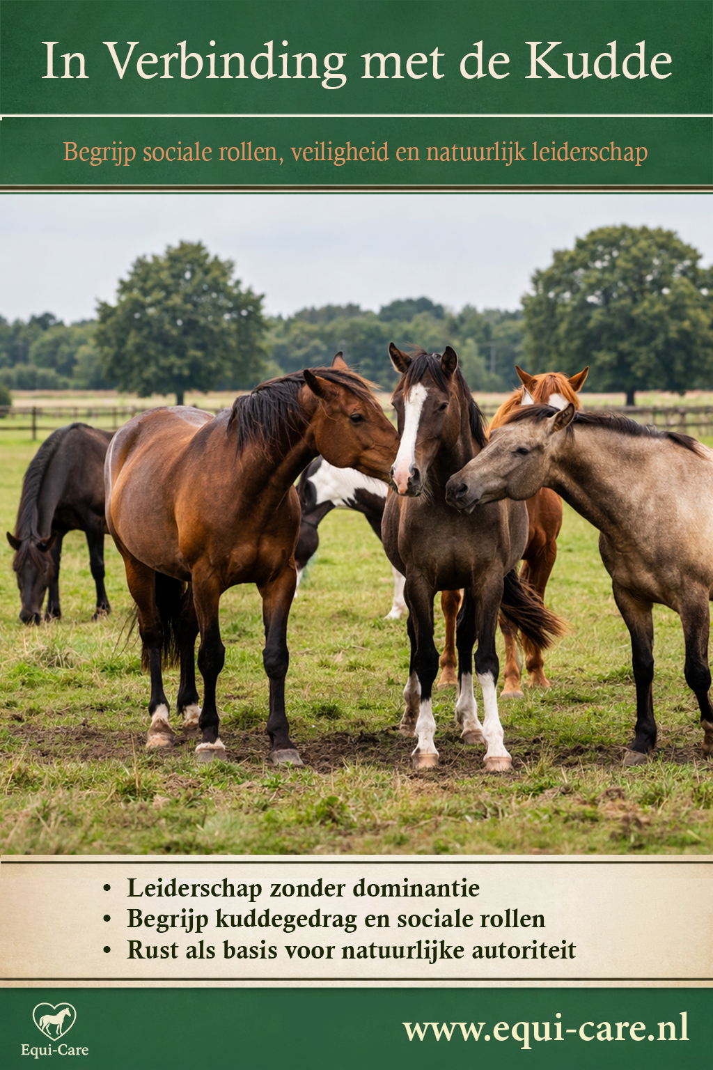 In verbinding met de kudde