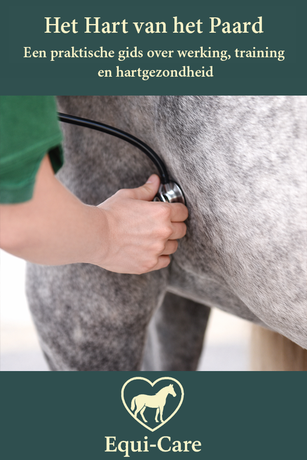 Het Hart van het Paard
