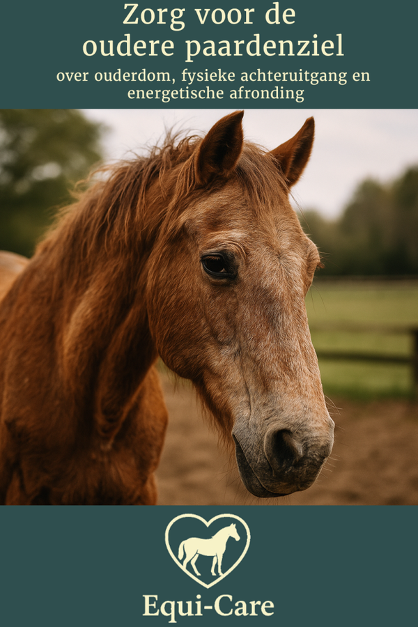 Zorg voor de oudere paardenziel