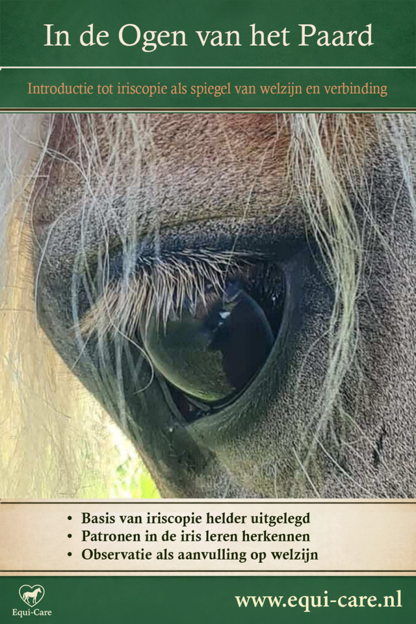 In de Ogen van het Paard- Iriscopie