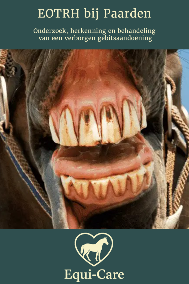 EOTRH bij paarden