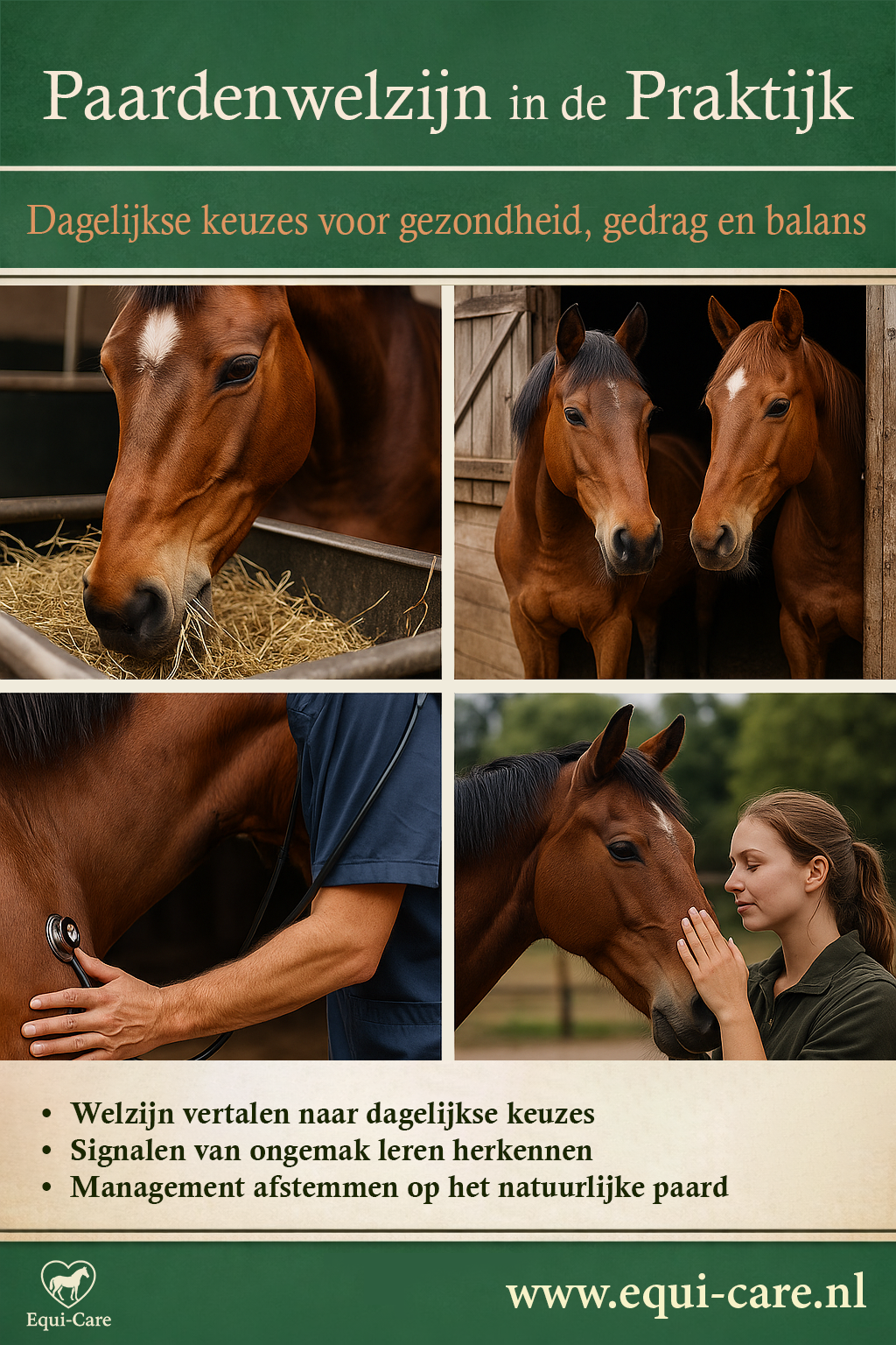 Paardenwelzijn in de Praktijk | Dagelijkse keuzes voor gezondheid, gedrag en balans