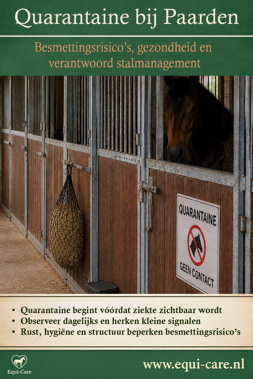 Quarantaine bij Paarden | Besmettingsrisico’s, gezondheid en verantwoord stalmanagement