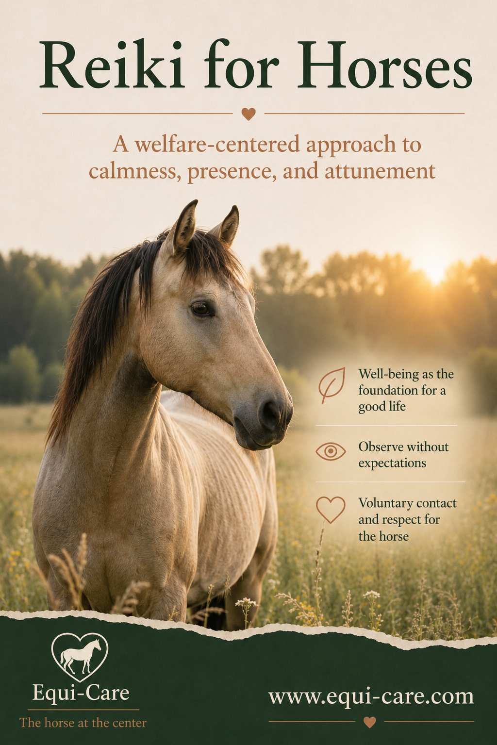 Reiki for Horses | Calmness, Attunement and Connection