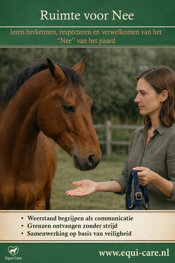 Ruimte voor Nee | Grenzen, Gedrag en Echte Samenwerking met je Paard
