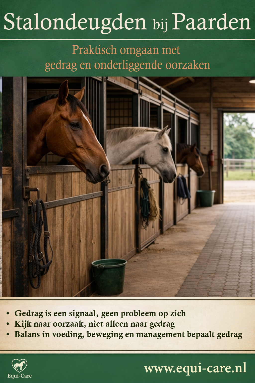 Stalondeugden bij Paarden | Begrijpen wat je paard probeert te vertellen