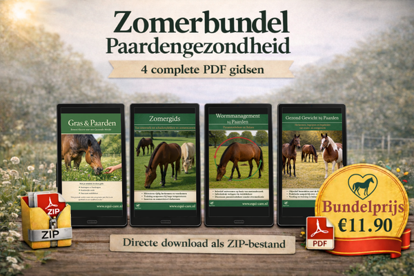 2 + 2 Zomerbundel 4 gidsen