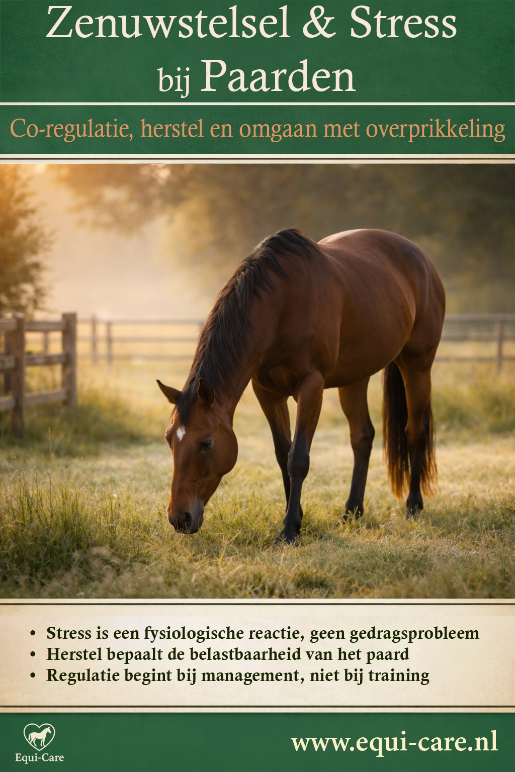 Zenuwstelsel & Stress bij Paarden | Co-regulatie, herstel en omgaan met overprikkeling
