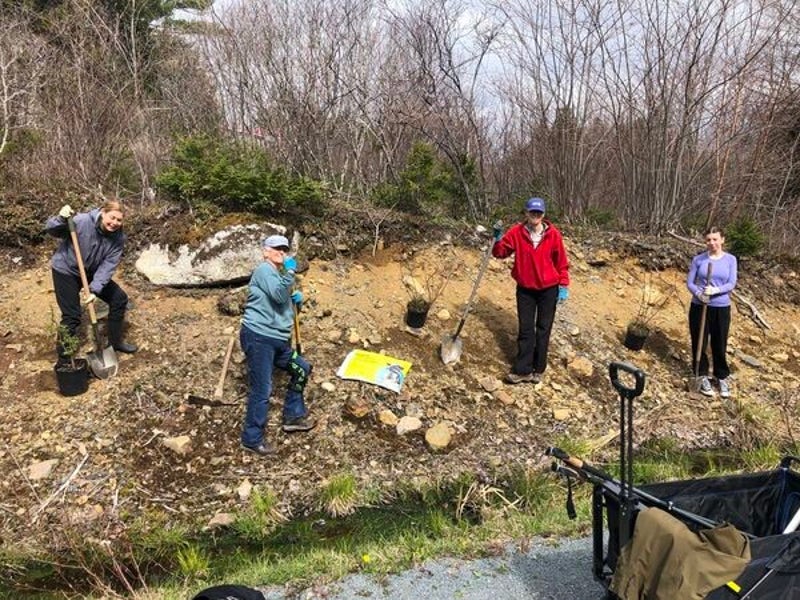 Gaetz Brook Greenway