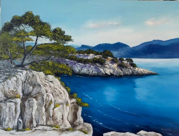 Vue sur la Calanque