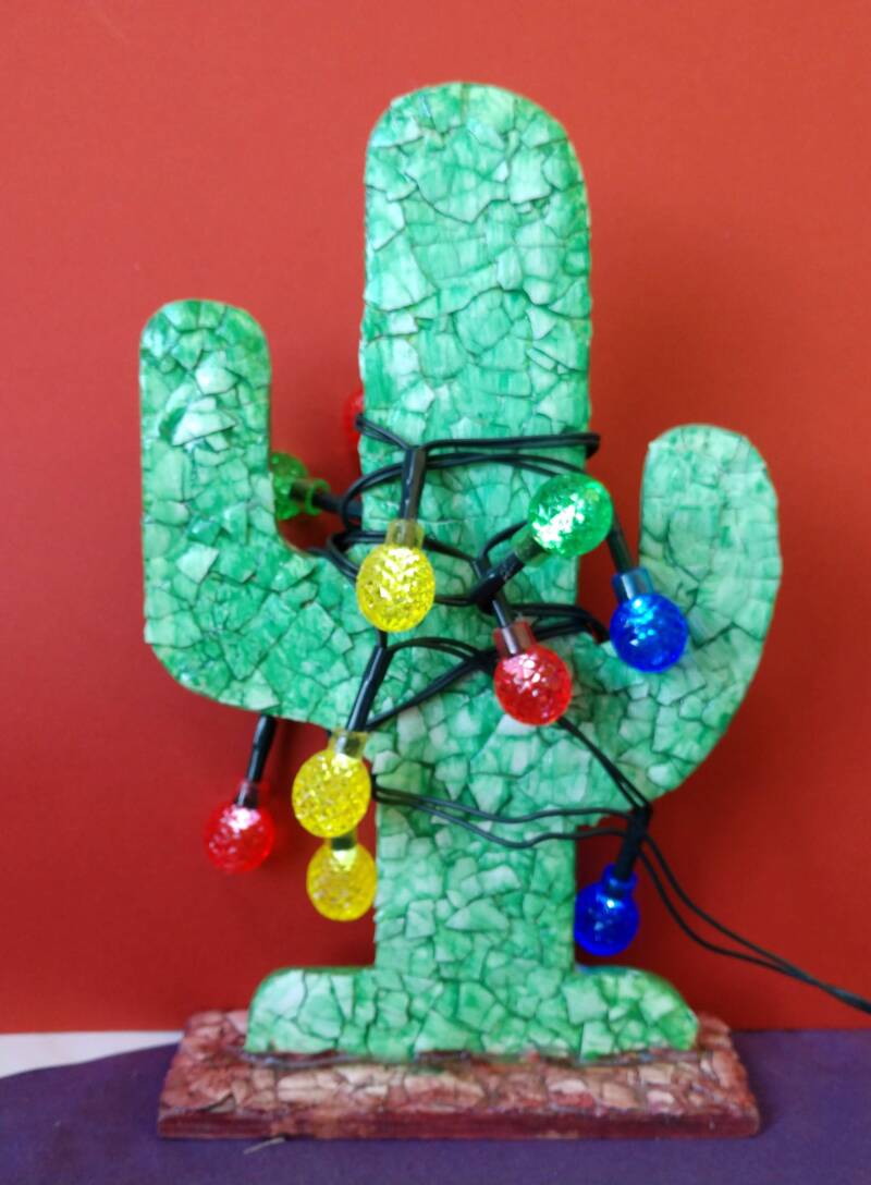 christmascactusroundlights.jpg