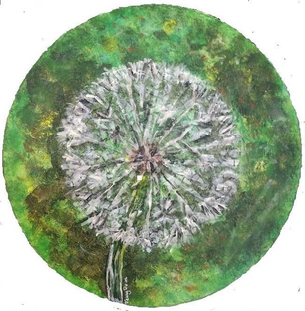 Dandelion
