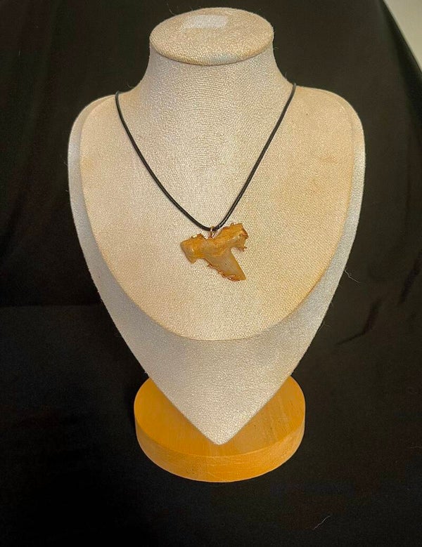 Collier dent de requin fossilisée