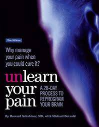 H. Schubiner M.D. t.m.s. mindbody, Claudy Greijn