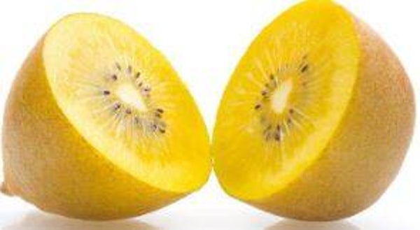 Actinidia deliciosa "Gold" - Gele kiwi (5-10)