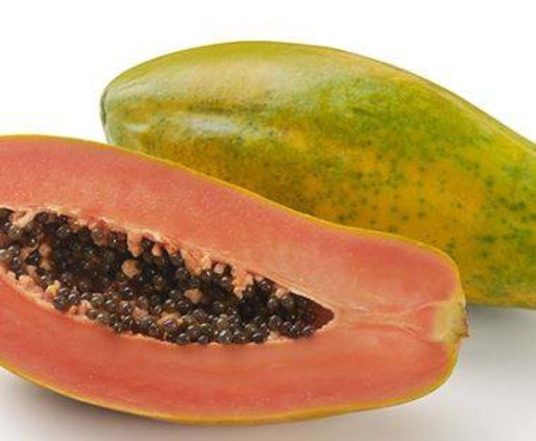 Carica papaya - Boommeloen (5)
