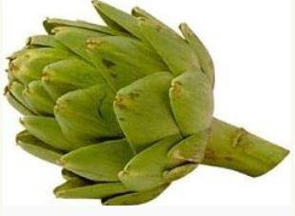 Cynara scolymus - Artisjok (5-10)