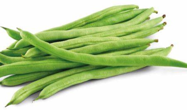 Phaseolus vulgaris “Doodgewoon” - Stokboon (10)