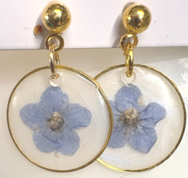 Golden Forget-Me-Not Blooms