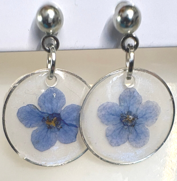 Silver Forget-Me-Not Blooms
