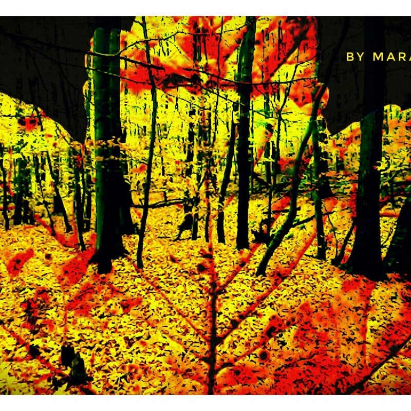 Wald im Blatt - Blätterwald