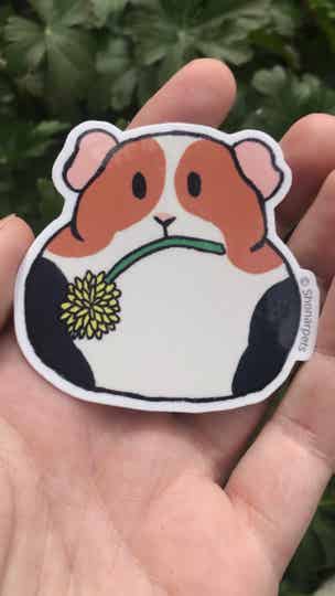 cute guinea pig with flower sticker