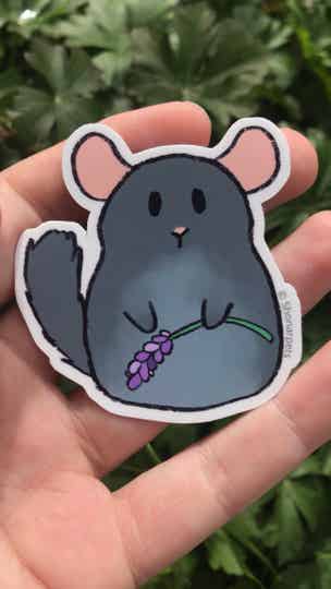 Chinchilla with flower sticker