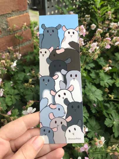 Bookmark full of chinchilla's