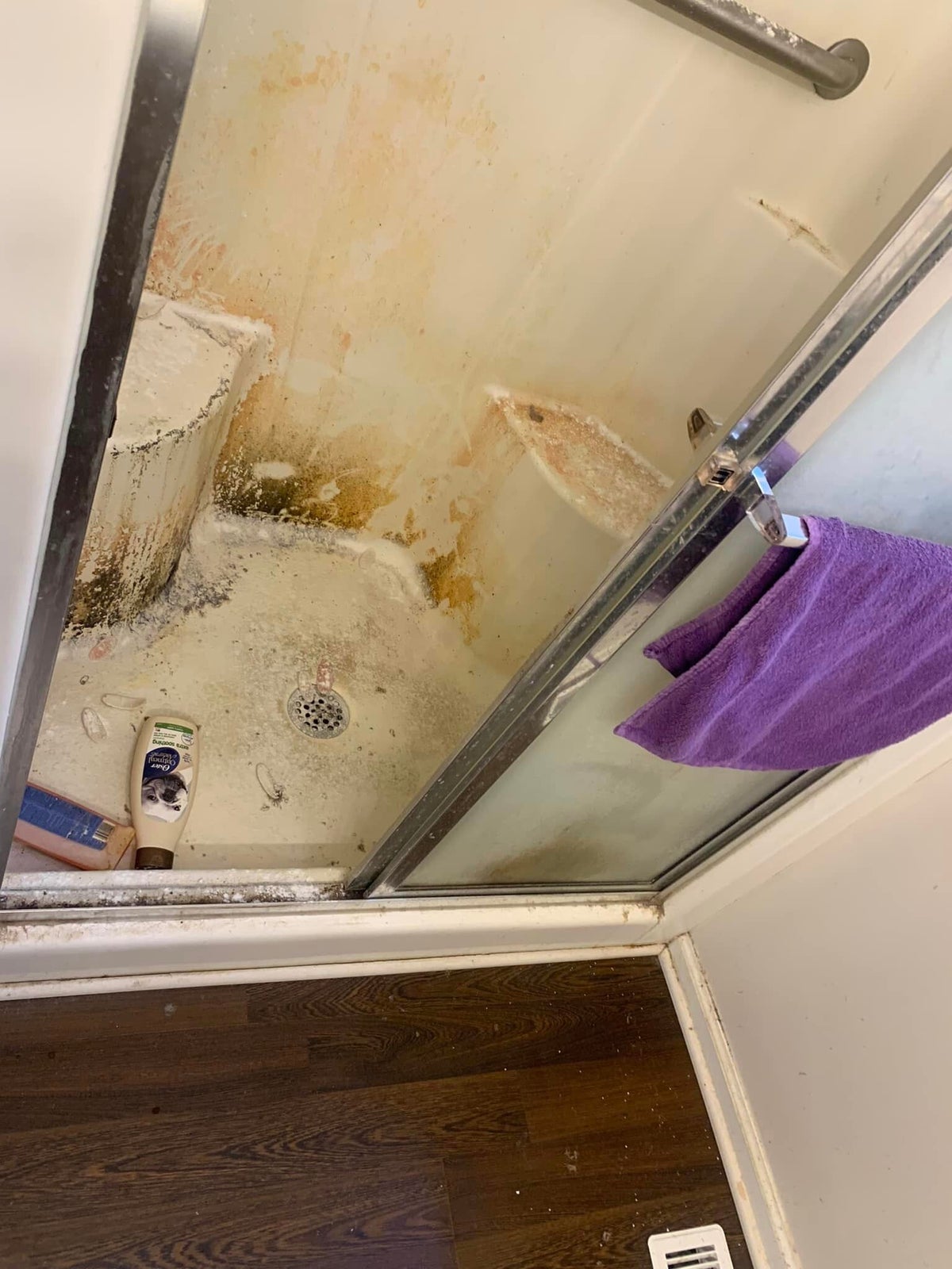 Busy Bee Cleaners LLC