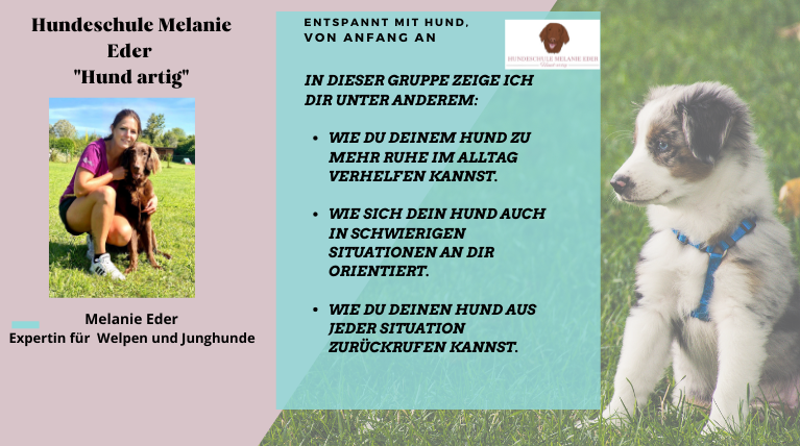 Link für Kostenlose Gruppe für Hundebesitzer