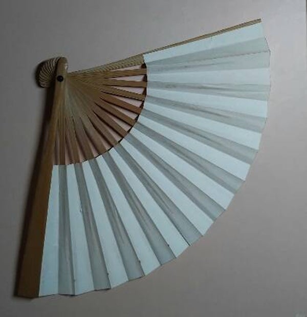 Kleine waaier bamboe blanco 25x15cm