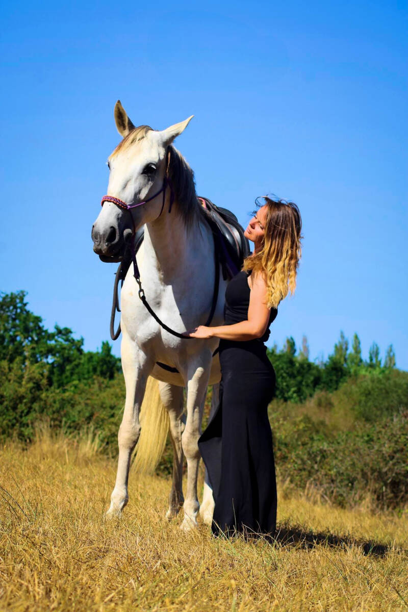 Photo cheval poitiers cavalier photo Poitiers photo équine Poitiers équin Poitiers shooting photo cheval Poitiers photographe Poitiers 