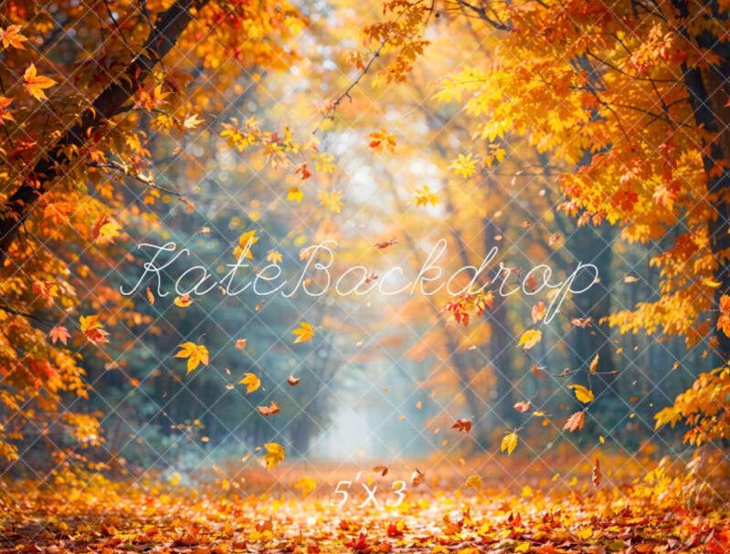 Fonds automnale Poitiers - studio photo