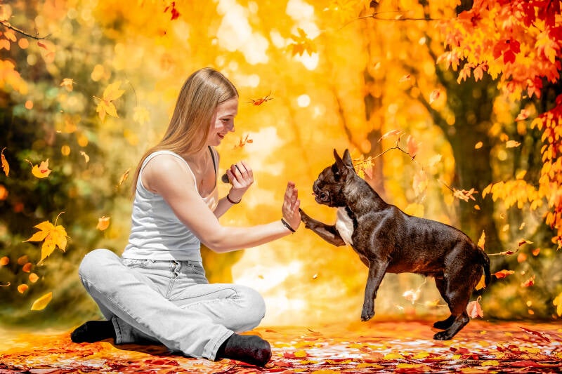Photographie animalière à Poitiers 