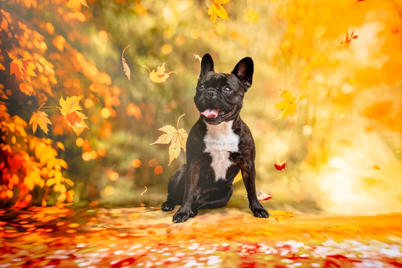 Portrait photographie Poitiers