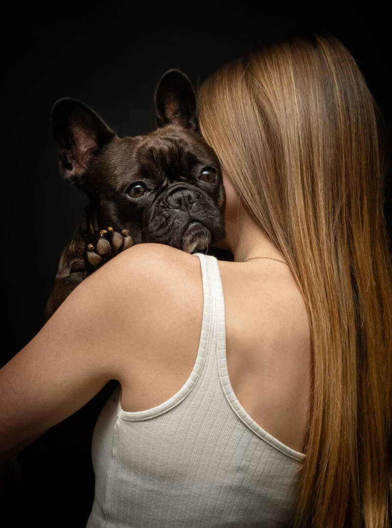 Photographie animalière à Poitiers