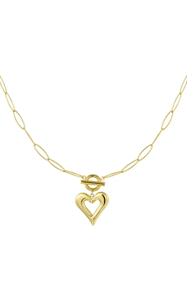 Stainless steel ketting met hart goud