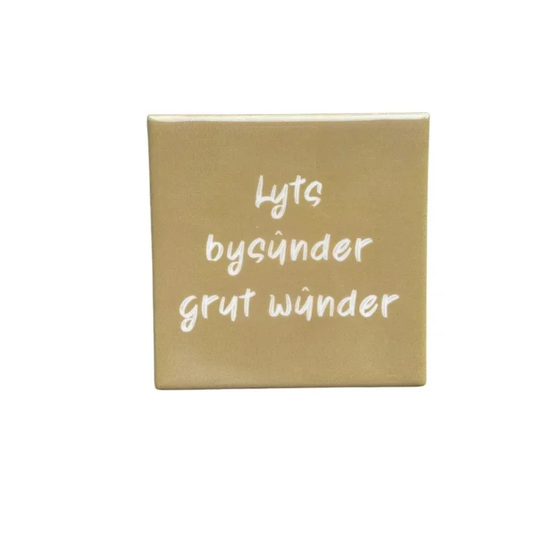 Tegeltje Lyts bysunder grut wunder