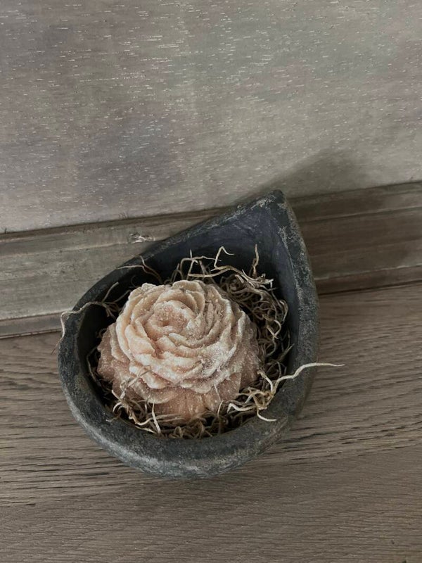 Amber Roos In Stenen Bakje