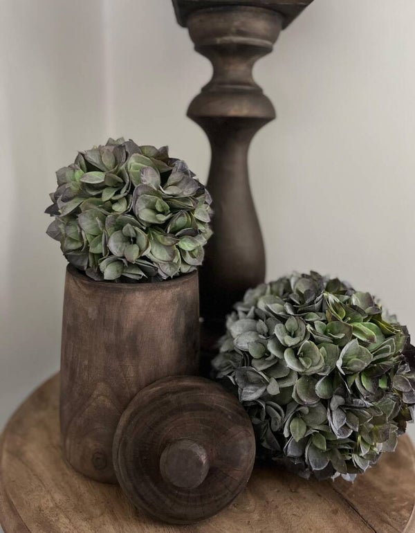 Set Kunst Hortensia Bollen