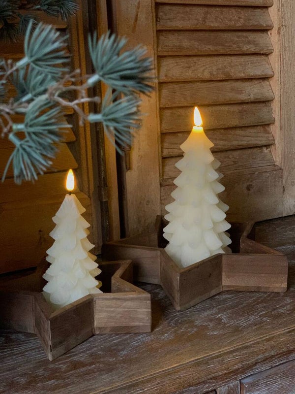 Set Led Kerstbomen met Sterren Houders