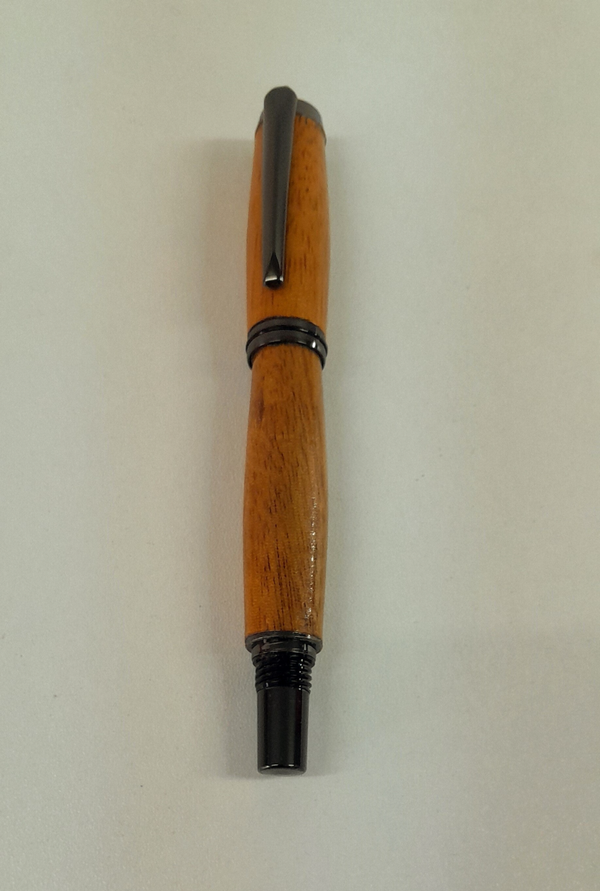 Stylo plume silvie