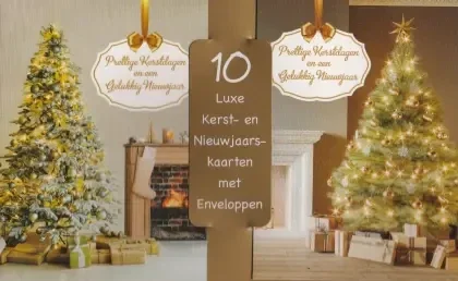 10 luxe kerst/nieuwjaars kaarten met enveloppen