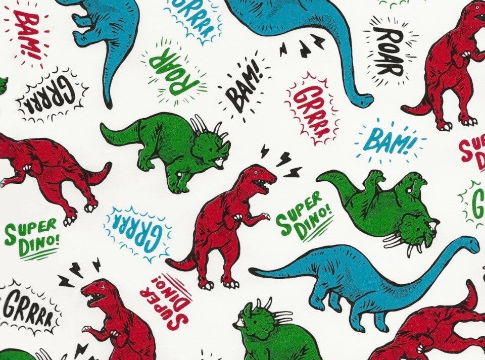 Rol Cadeau Papier Dino ‘s 70cm x 2m