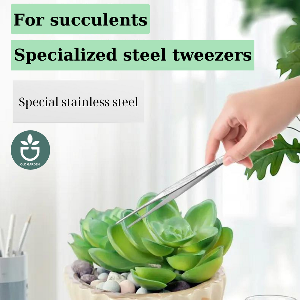 Roestvrijstalen vetplanten pincet - succulent tweezer