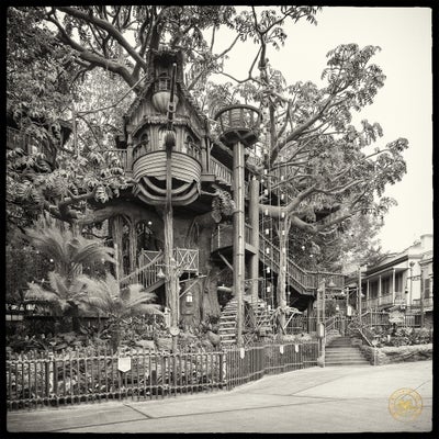 treehouse1.jpg